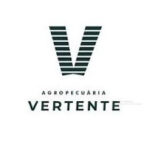 vertente